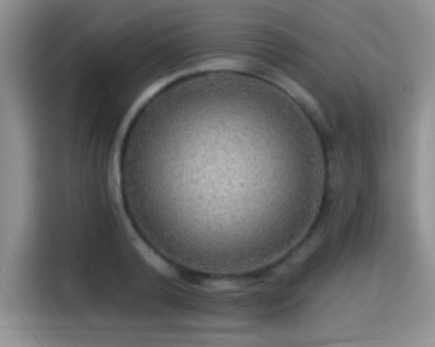X0000115320792200911091156