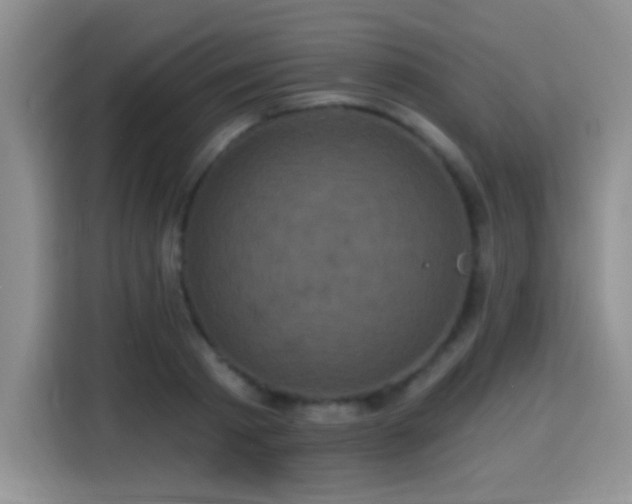 X0000115320793200911091156
