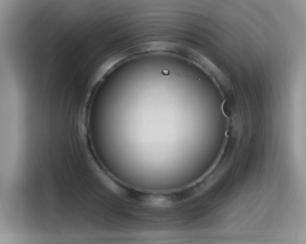 X0000115320794200911091156