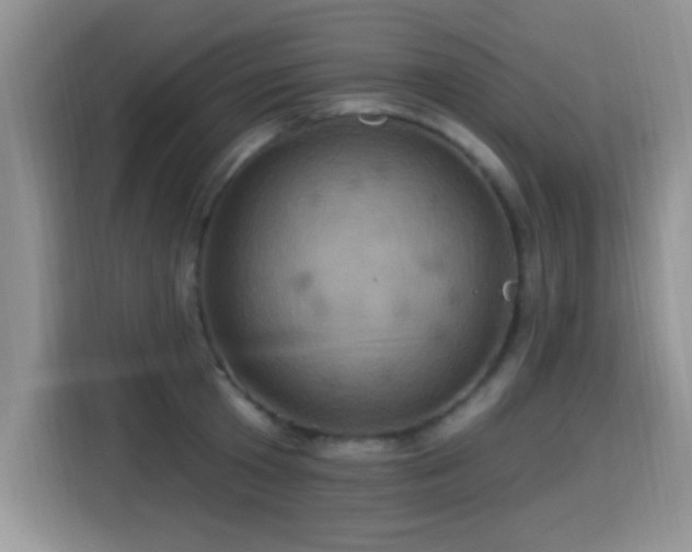 X0000115320801200911091156