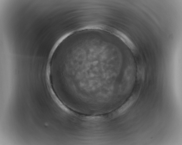 X0000115320804200911091156