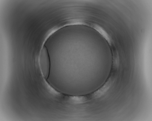 X0000115320805200911091156