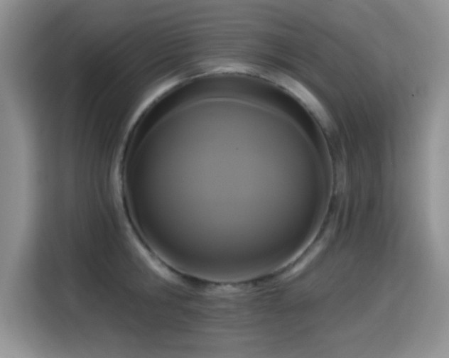 X0000115320806200911091156