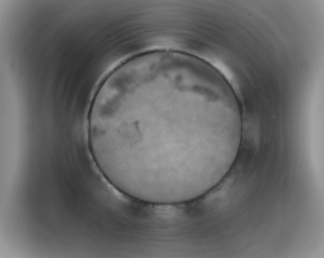 X0000115320807200911091156