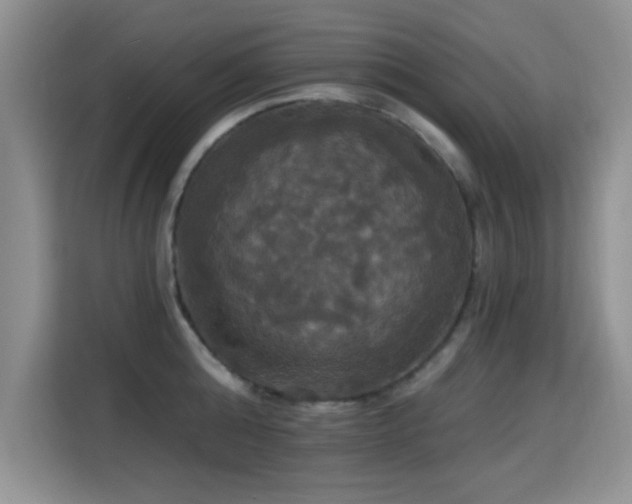 X0000115320808200911091156