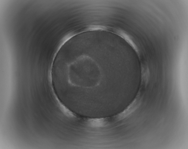X0000115320810200911091156