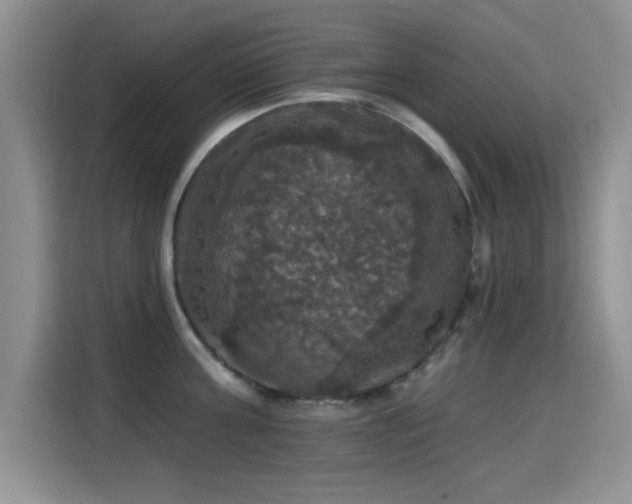 X0000115320811200911091155