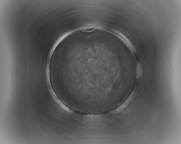 X0000115320812200911091155