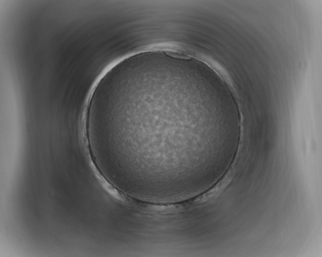 X0000115320816200911091155