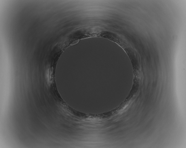 X0000115320818200911091155