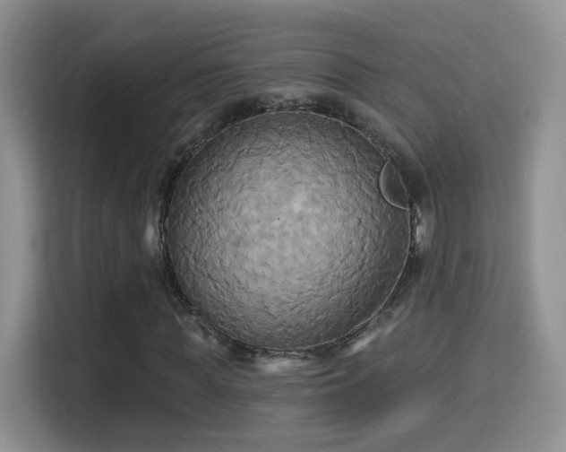 X0000115320819200911091155