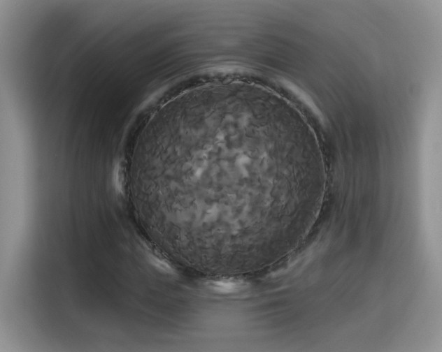 X0000115320823200911091155