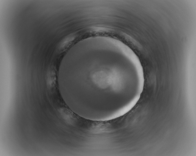 X0000115320824200911091155