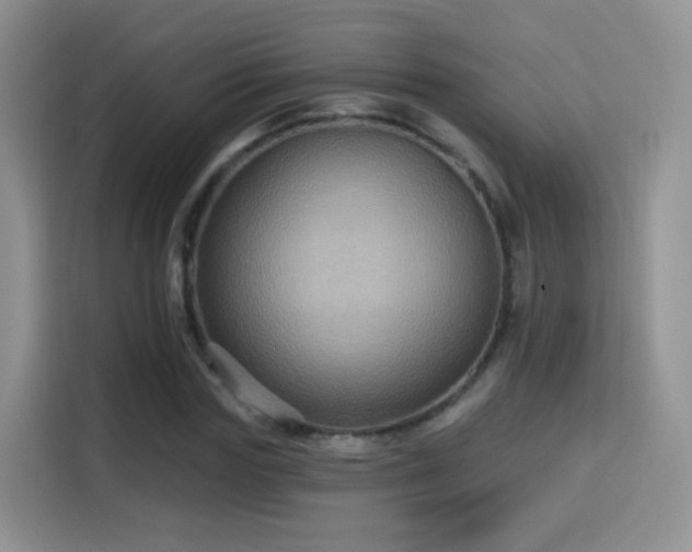 X0000115320827200911091155
