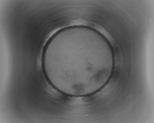 X0000115320828200911091155