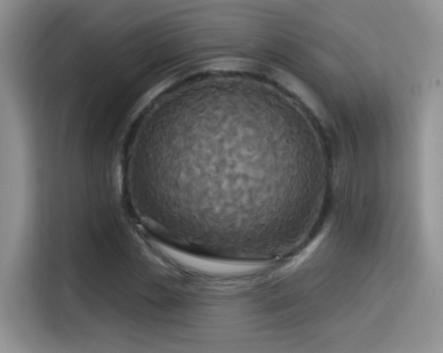 X0000115320829200911091155