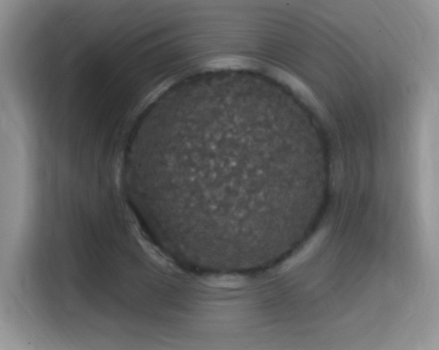 X0000115320833200911091155