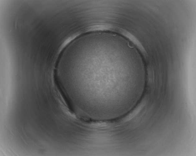 X0000115320834200911091155