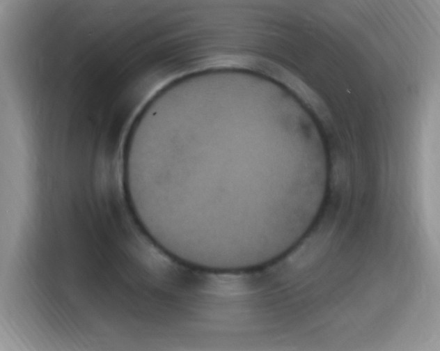 X0000115320836200911091155