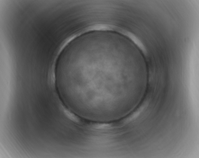 X0000115320837200911091155