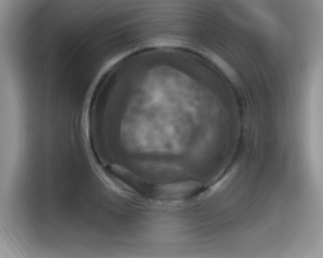 X0000115320840200911091155