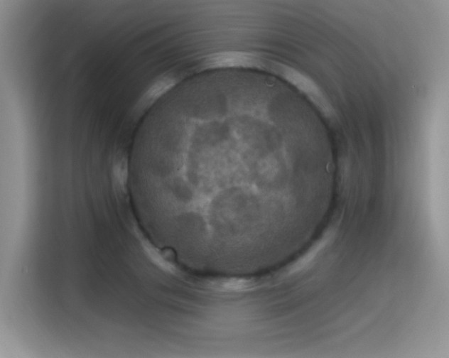 X0000115320841200911091155