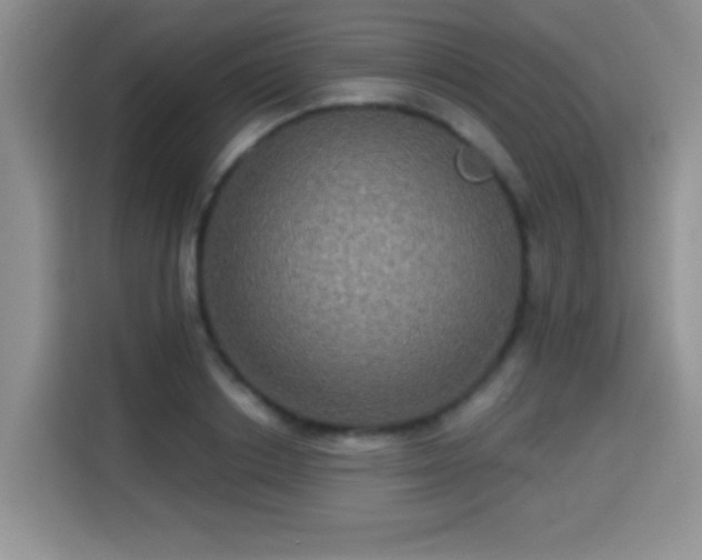 X0000115320842200911091155