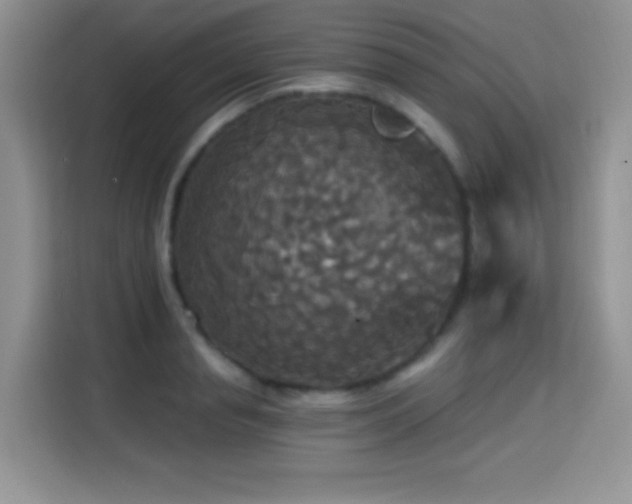 X0000115320845200911091155