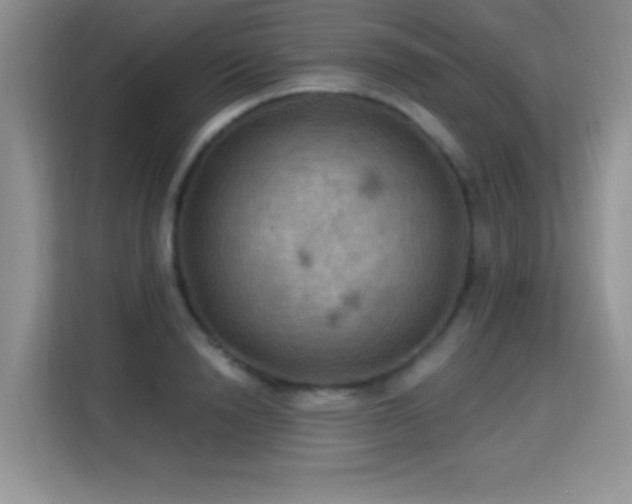 X0000115320846200911091155