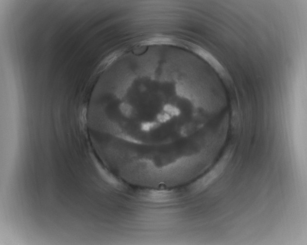 X0000115320849200911091155