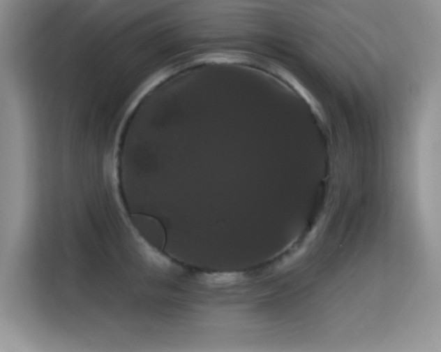 X0000115320853200911091155