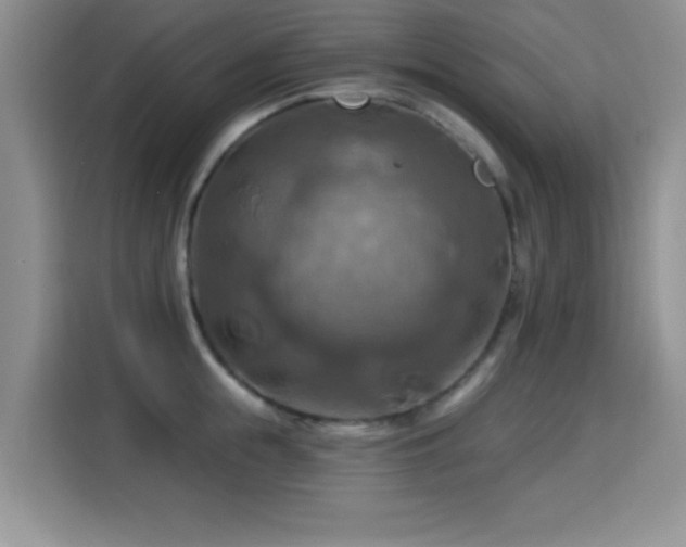 X0000115320855200911091155