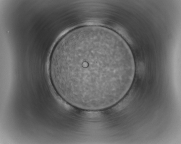 X0000115320856200911091155