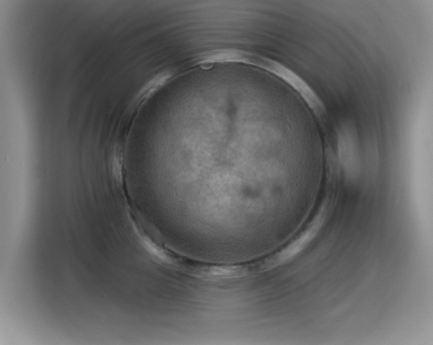 X0000115320857200911091155