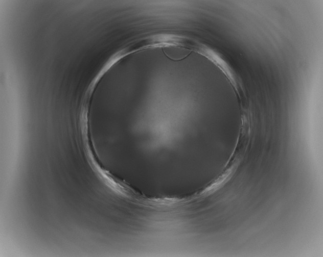 X0000115320859200911091155