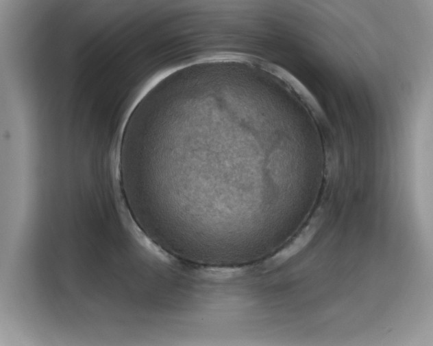 X0000115320860200911091155