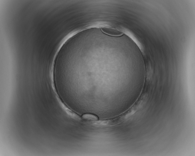 X0000115320861200911091155