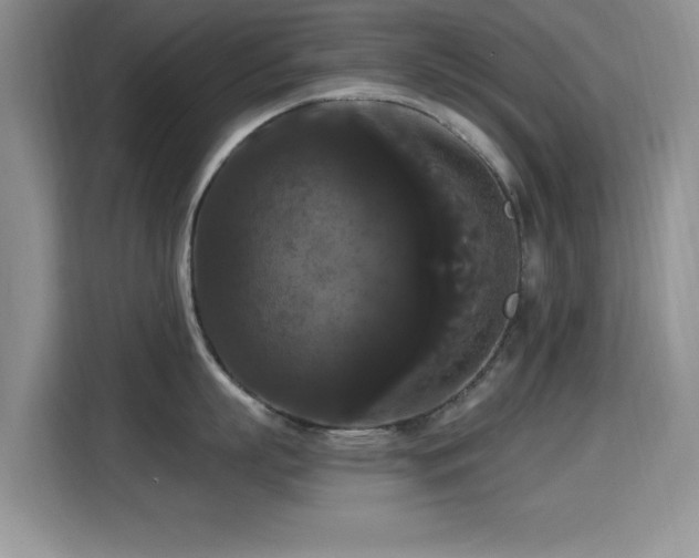 X0000115320863200911091155