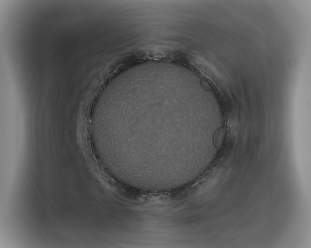 X0000115320865200911091155