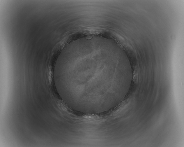 X0000115320866200911091155