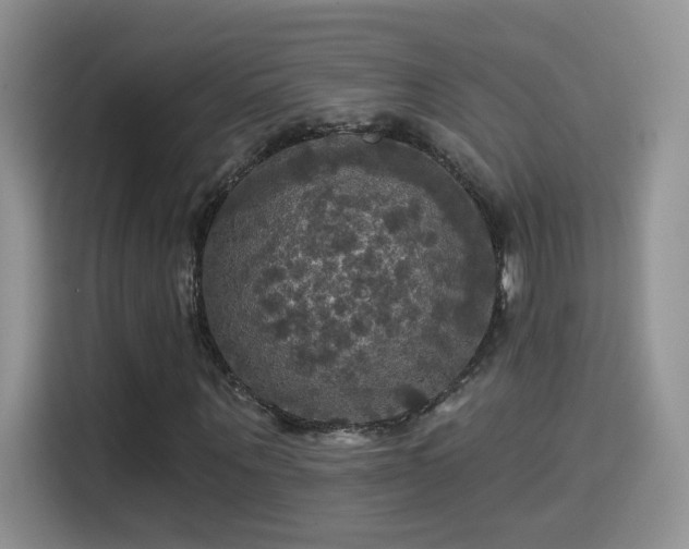 X0000115320867200911091155