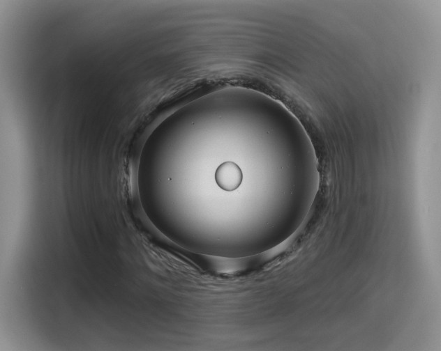 X0000115320868200911091155