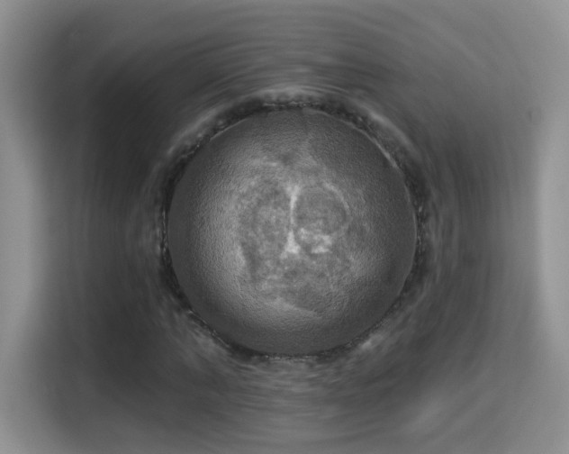 X0000115320870200911091155