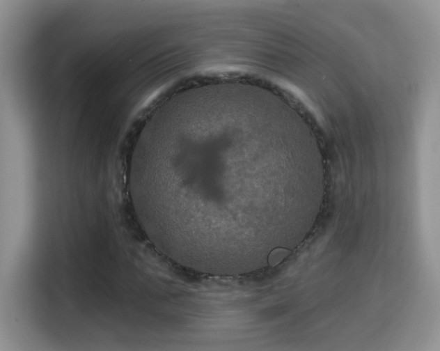 X0000115320871200911091155