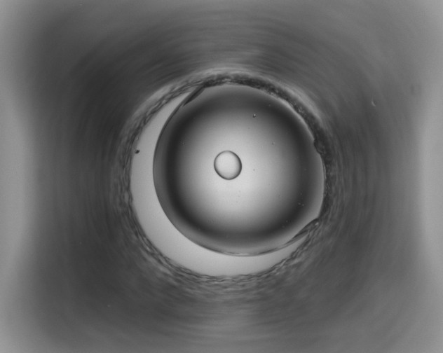 X0000115320872200911091155
