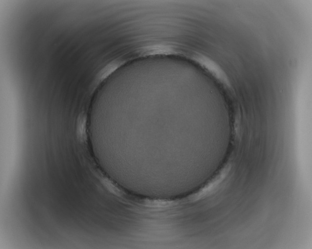 X0000115320873200911091155