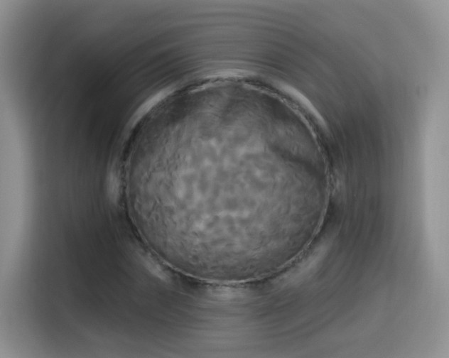 X0000115320874200911091155