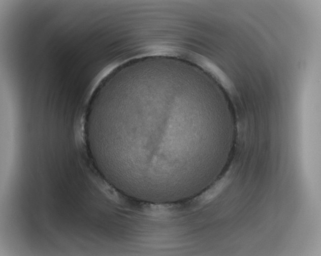 X0000115320875200911091155