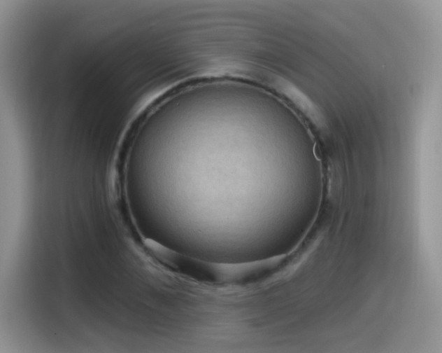 X0000115320876200911091155