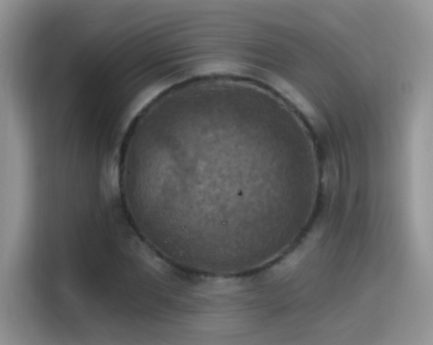 X0000115320877200911091155